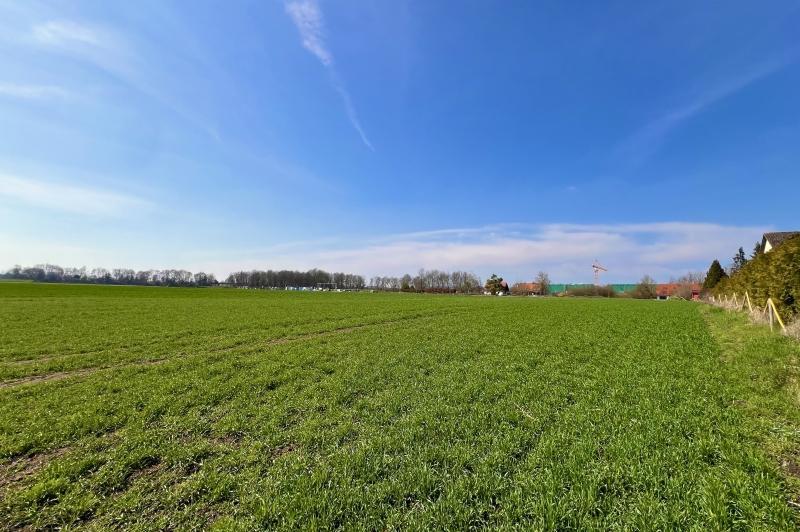 Foto der Immobilie (479)