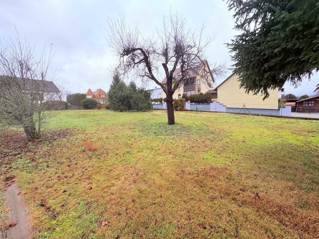 Foto der Immobilie (1003)