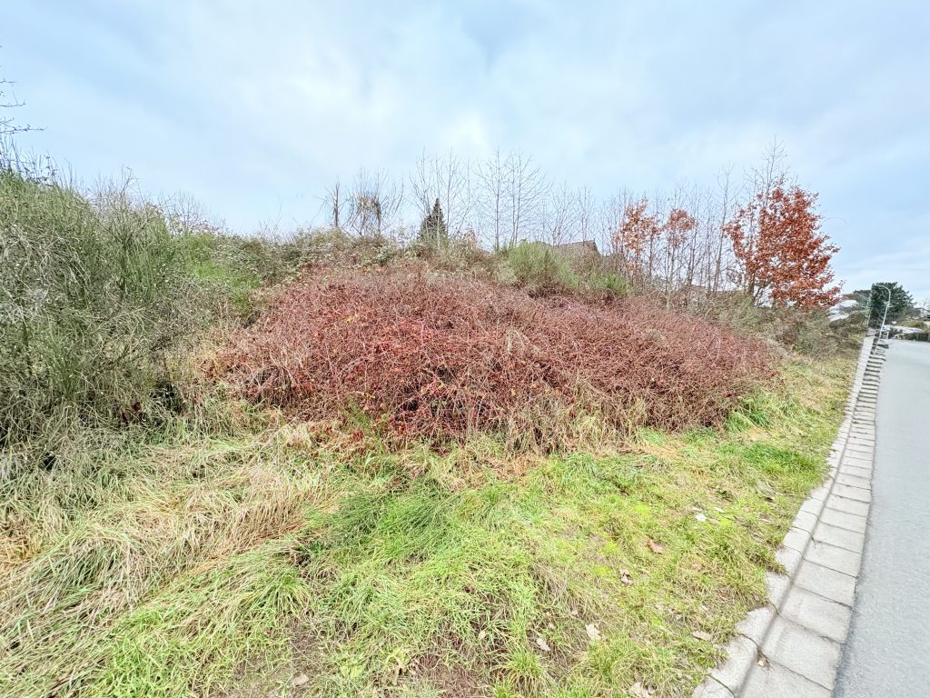 Foto der Immobilie (1274)